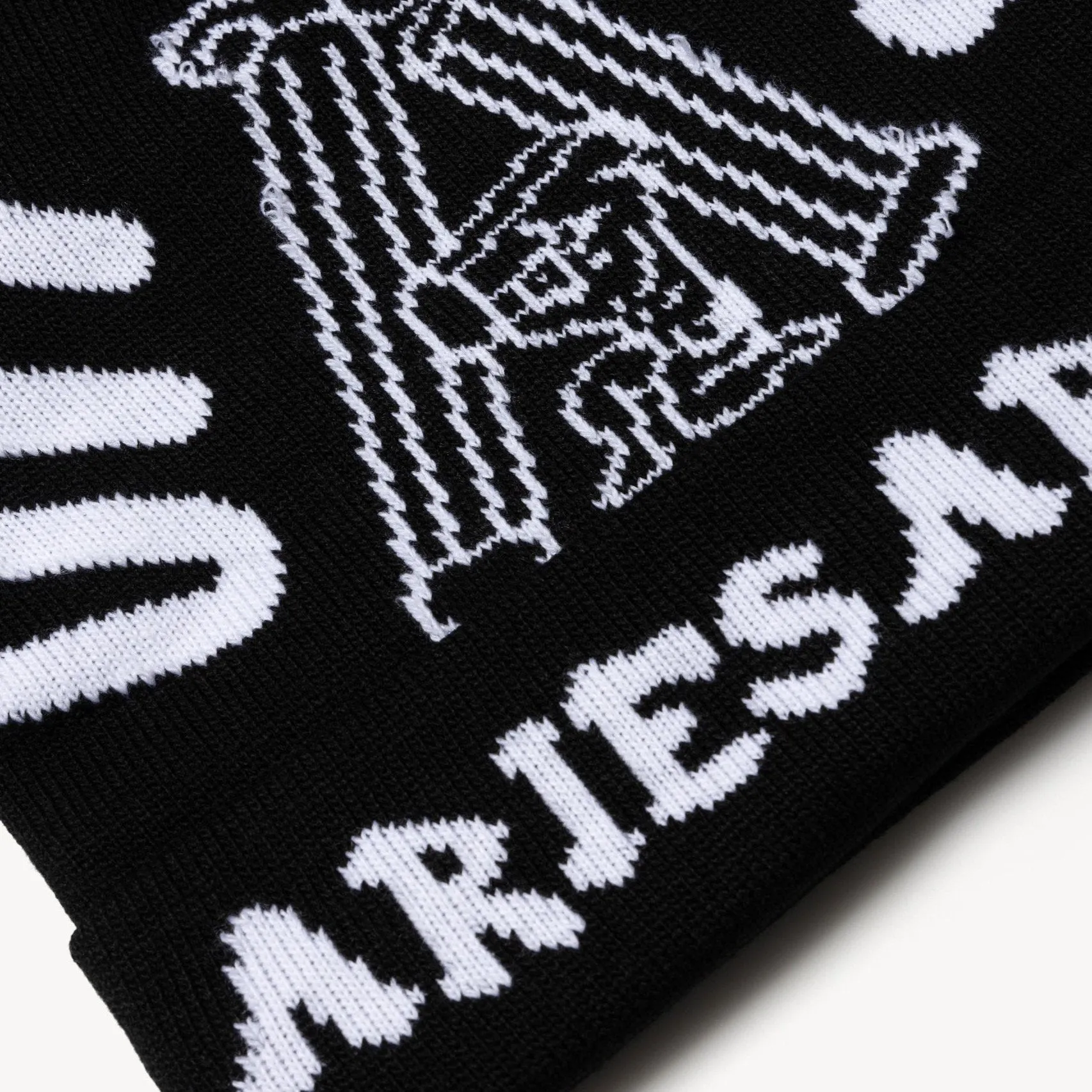 Aries Arise Column Beanie