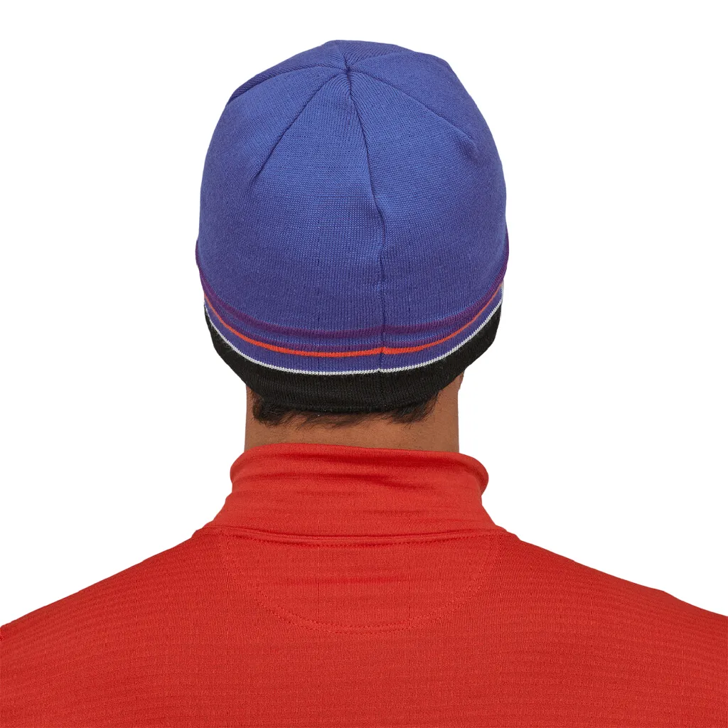 Patagonia Beanie Hat - Past Season