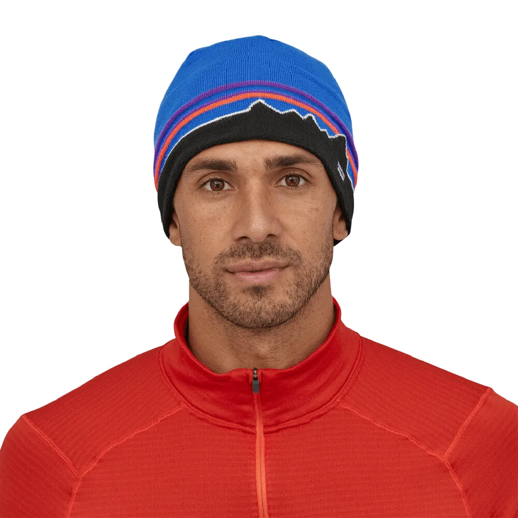 Patagonia Beanie Hat - Past Season