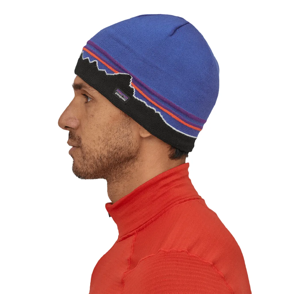 Patagonia Beanie Hat - Past Season